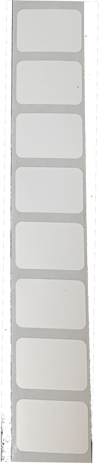 etiquettes TT 30x21