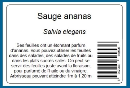 STICK 8 M1 : Etiquettes adhésives 96 x 65 mm - 8 par page – Image 4