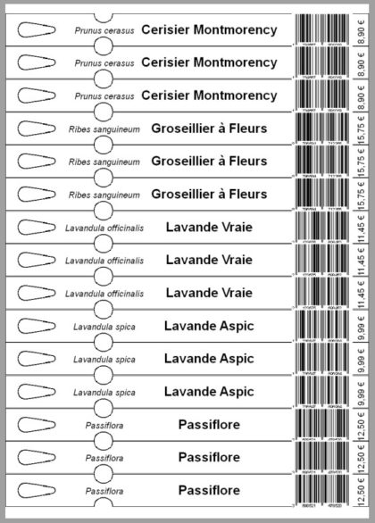 TF15 : Etiquette à boucle 210 x 19 mm – Image 2